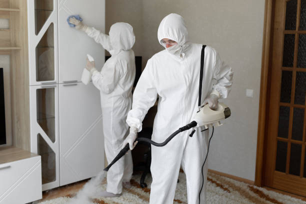 24/7 Emergency Odor Removal experts in Genoa, IL